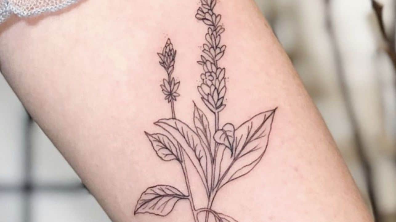 Sketch valley tattoo the lily of 