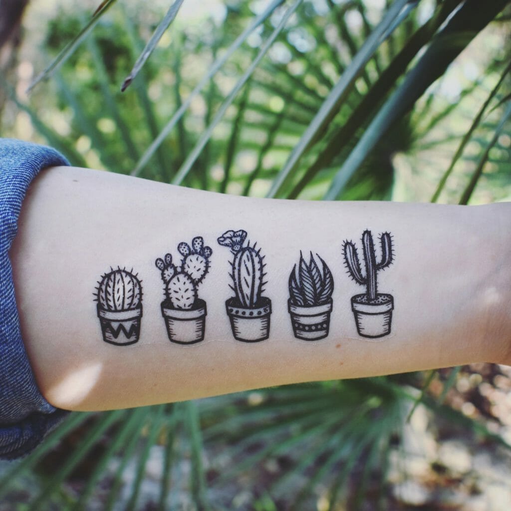 OLLIE KEABLE TATTOOS  Cute lil cactus on glillywhite99 Done at