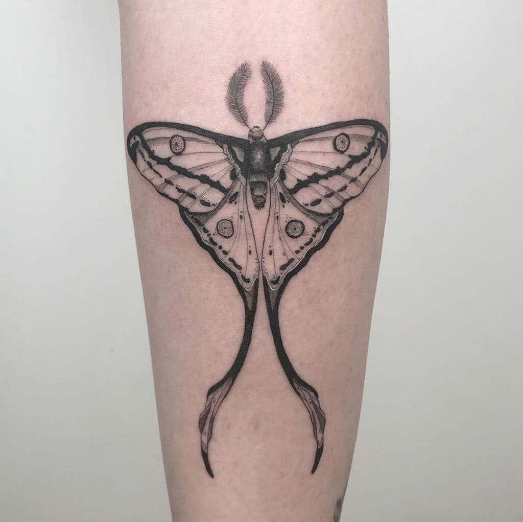 Black and White Ink luna Moth Tattoo Outsons