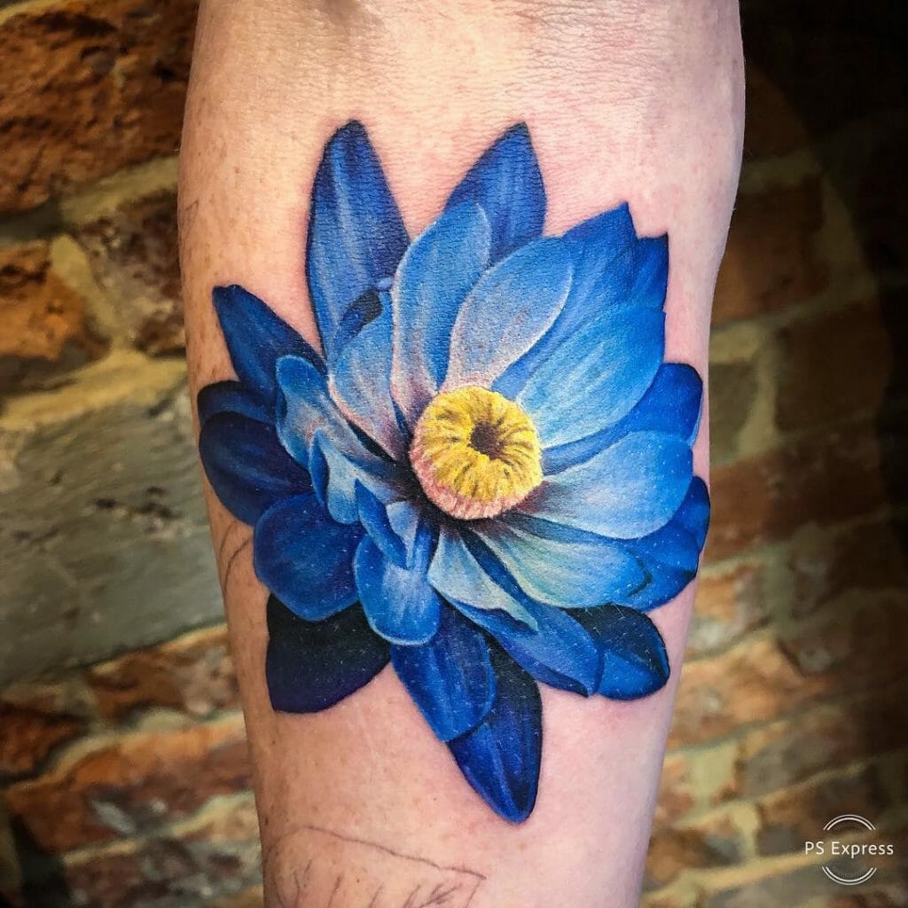 Realistic Tattoos Lotus Flower Blue Variety