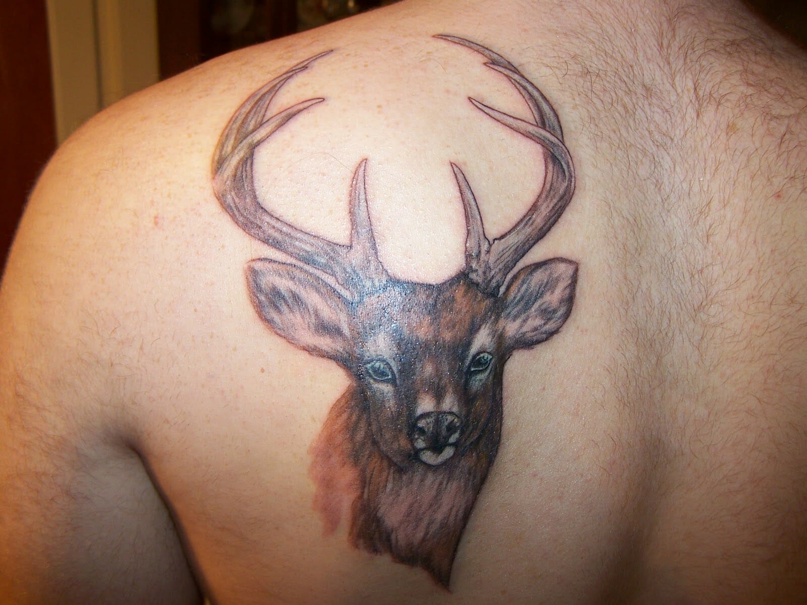 101 Amazing Deer Tattoo Designs You Need To See! - Outsons