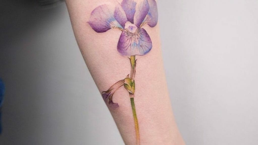 iris tattoo ideas