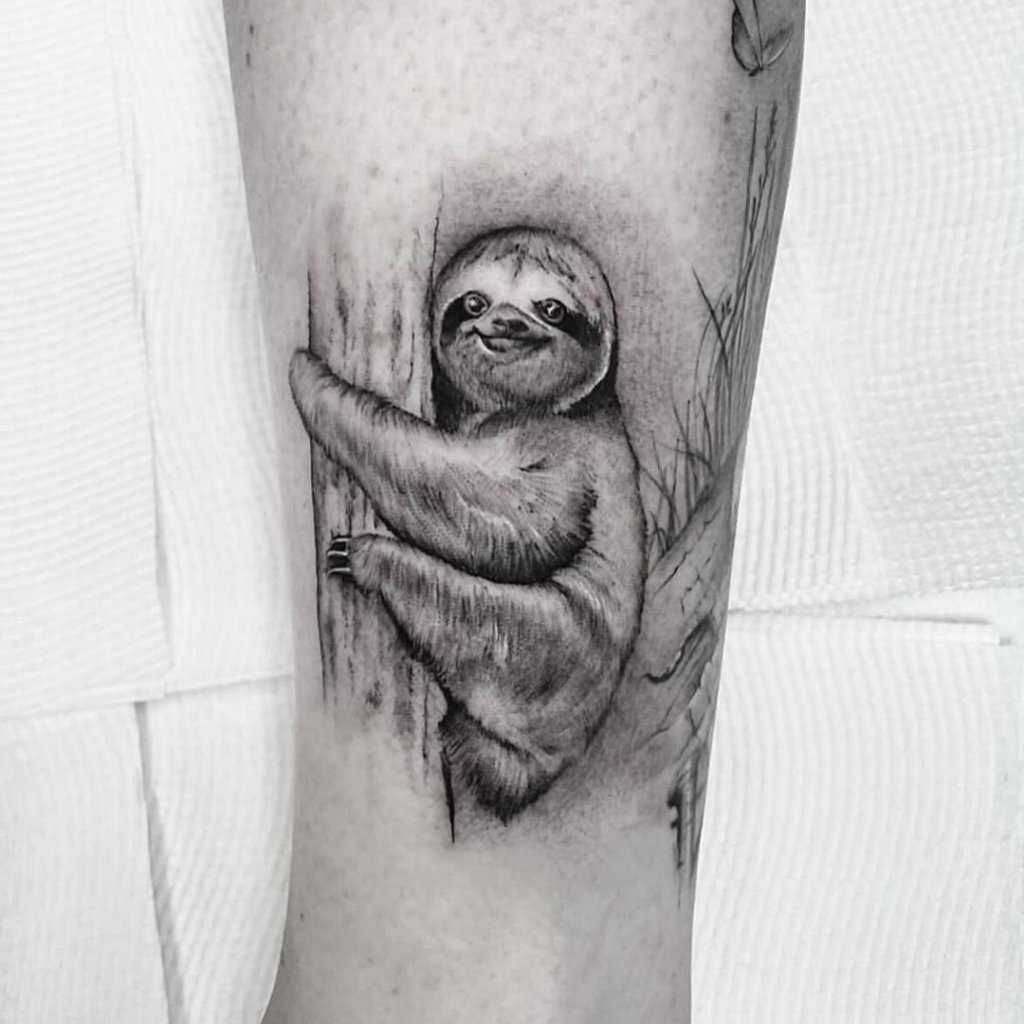 The cutest sloth tattoo with  Stellas Electric Tattoo  Facebook