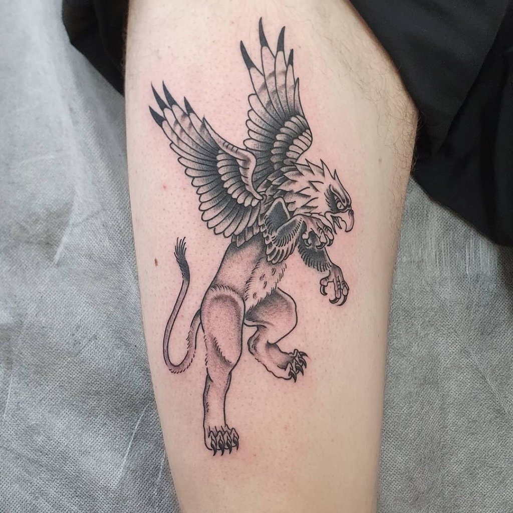 Gorgeous Griffin Tattoos Over Forearm
