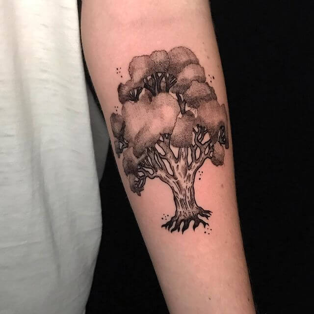 Forearm Black Tree Design Tattoo