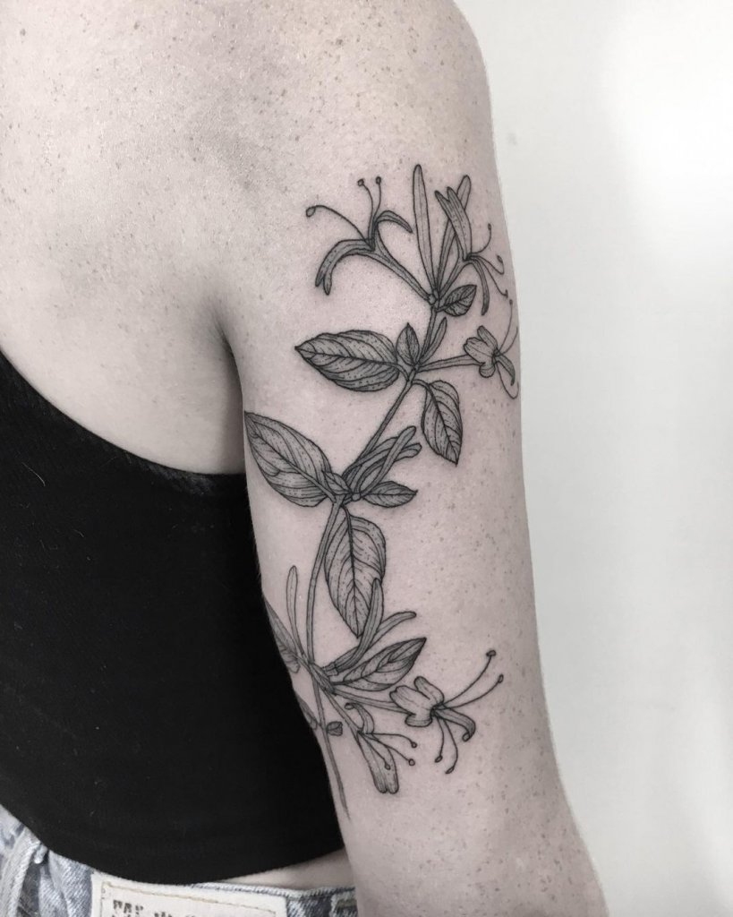 Shoulder Honeysuckle Flower Tattoo
