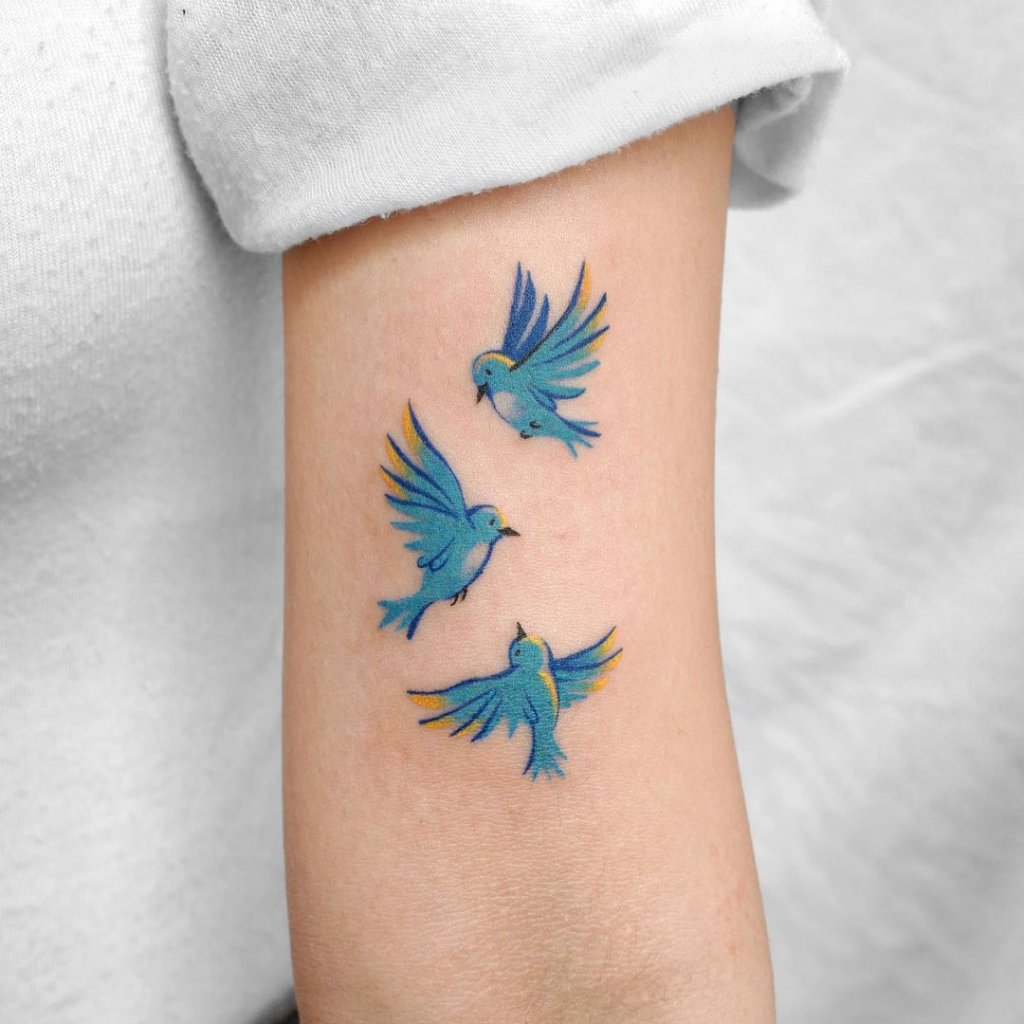 bluebird tattoo