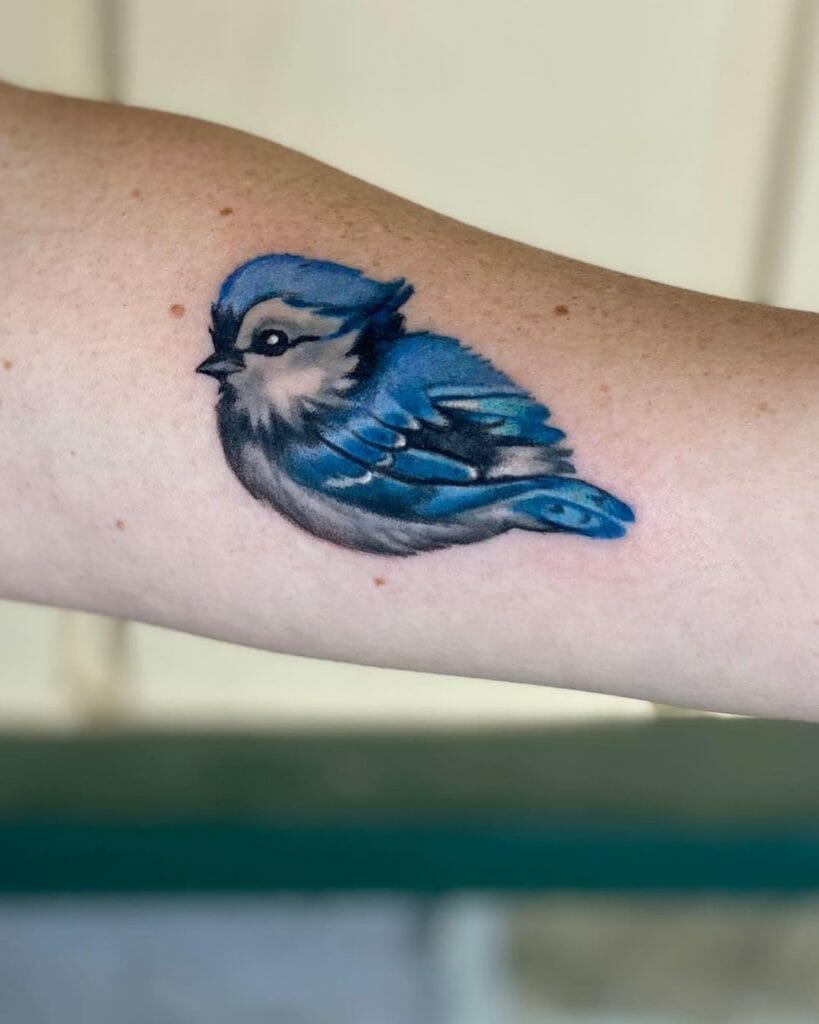 Baby Blue Jay Tattoo