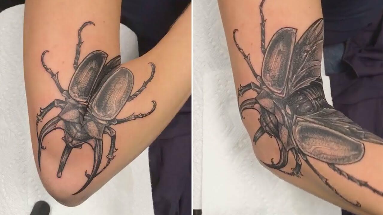 Chelsea Shoneck on Instagram: “Finished this fun Hercules beetle last week!  Most of beetle and lines healed, flower… | Body tattoos, Colorful flowers,  Flower tattoo