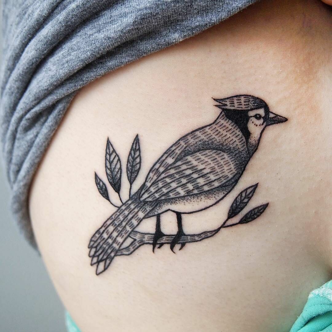 How should look breathtaking traditional blue jay tattoo