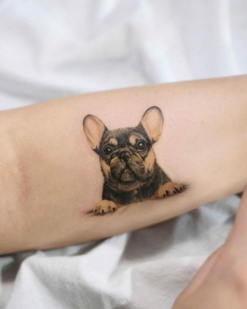 Bulldog Tattoo Idea With A Realistic Feel To It