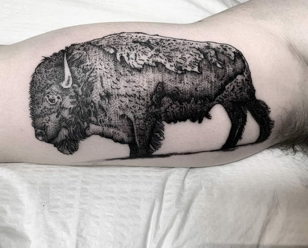 Elaborately Designed Bison Tattoos