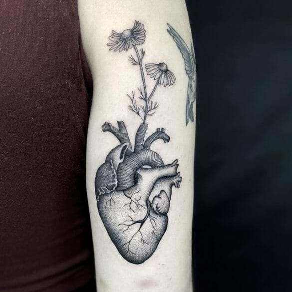 101 Best Anatomical Heart Tattoo Ideas That Will Blow Your Mind!