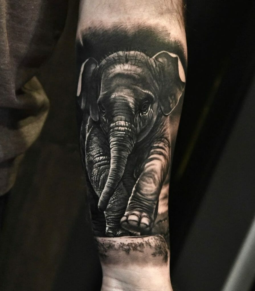 Realistic Baby Elephant tattoo