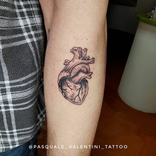 Simple Anatomical Heart Designs