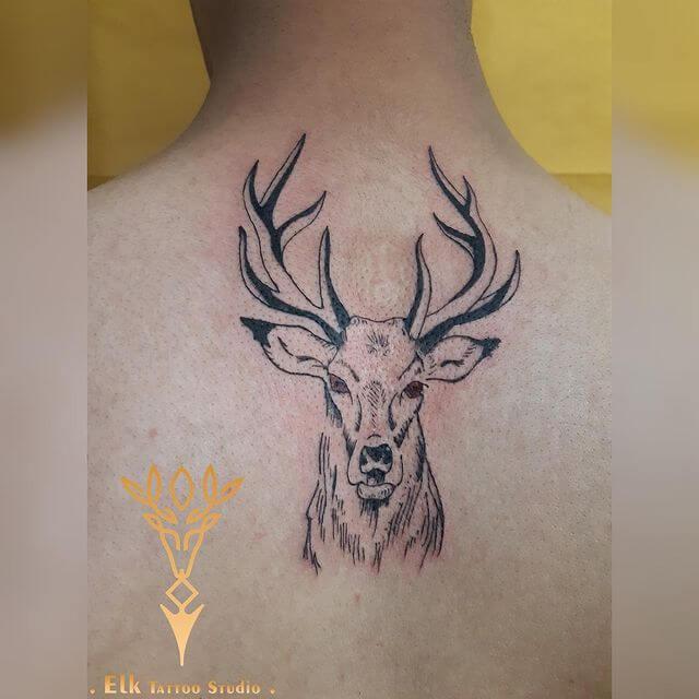 The Elk Antler Tattoo For First-Timers