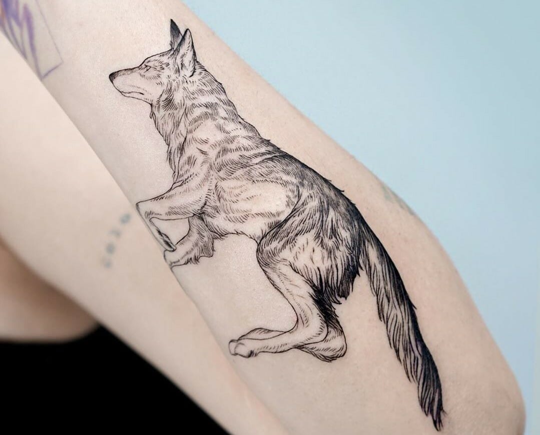 Tribal Tattoo Coyote by GreenLightningBolt on DeviantArt