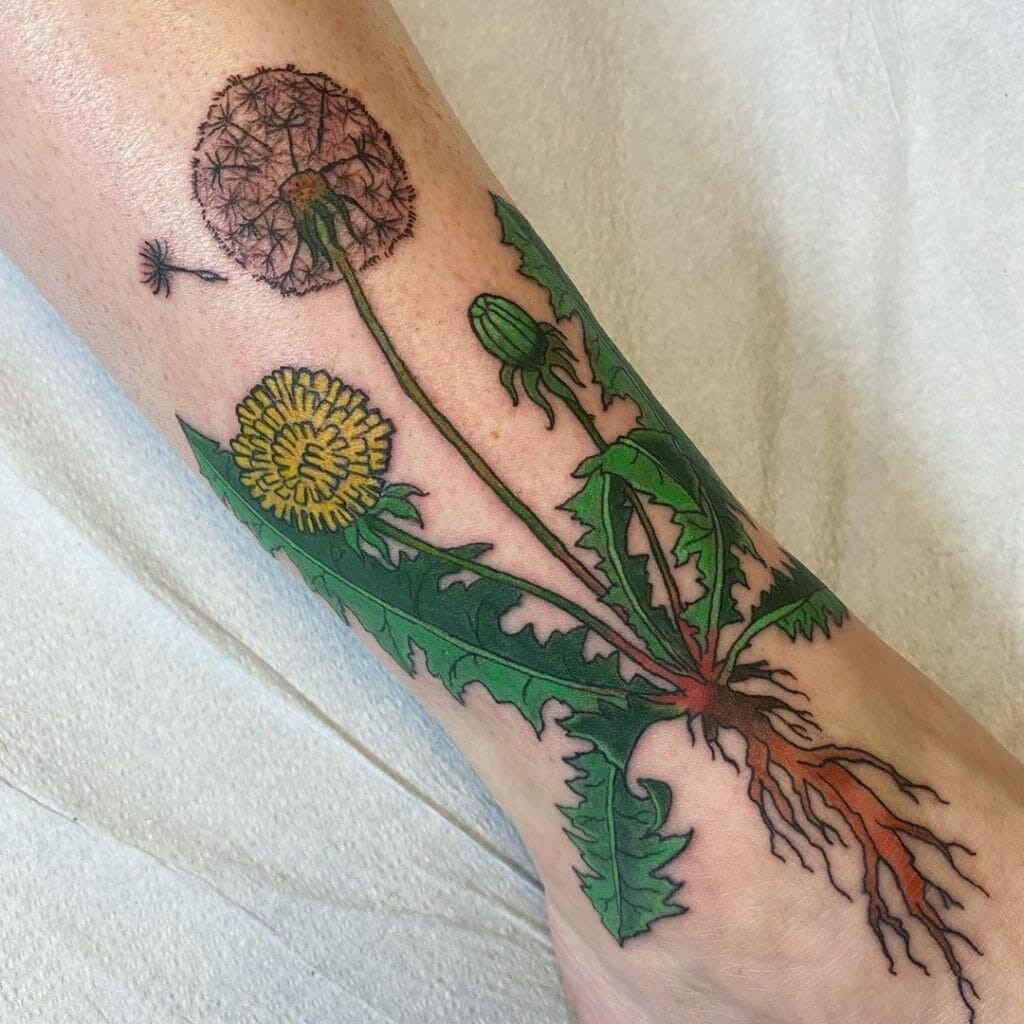 Dandelion Root Tattoo