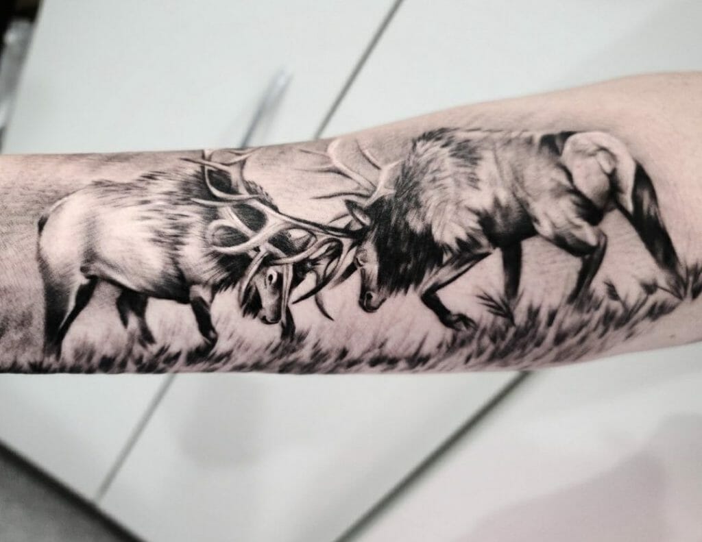 Elk Tattoos