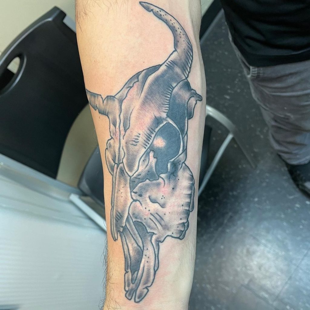 Heavily Shaded Dark Cow Skull Tattoos