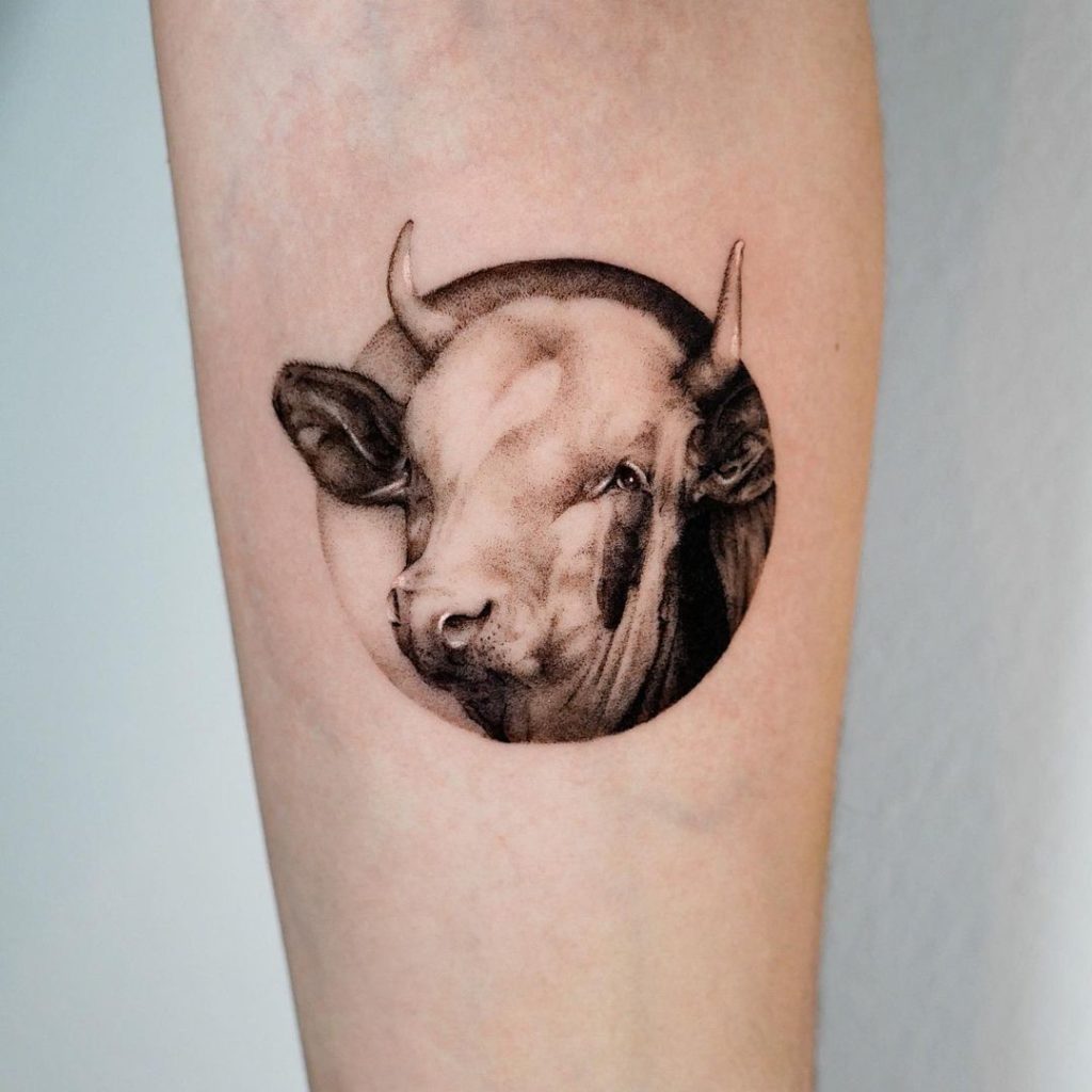 Realistic Cow Tattoos