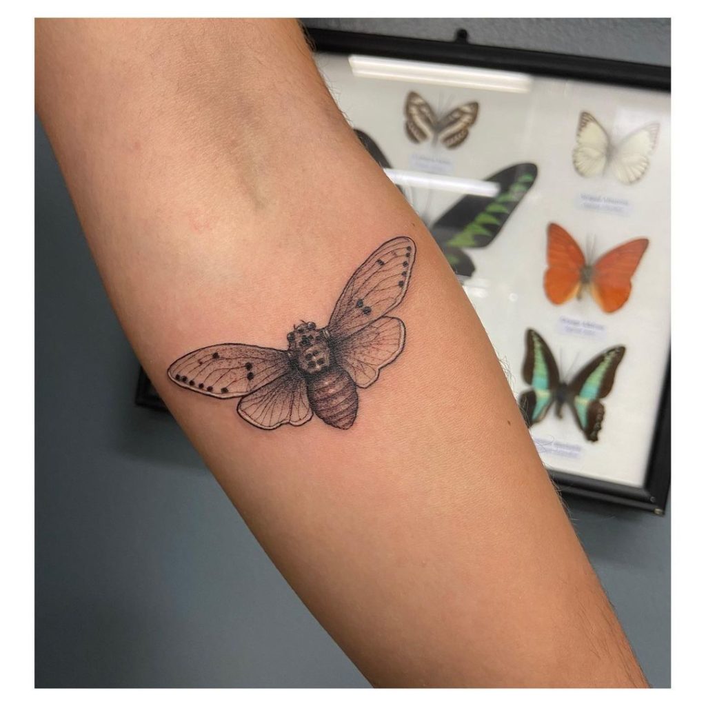 Small Cicada Tattoo