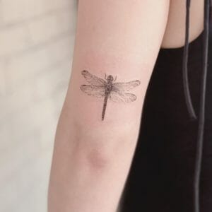22 Latest Dragonfly Tattoos For 2024!
