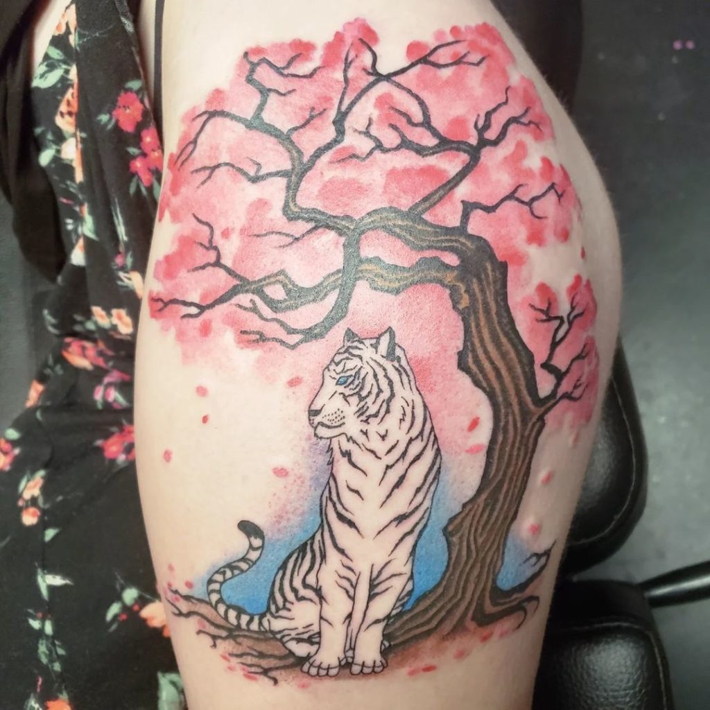 Tiger With Japanese Cherry Blossom Tattoo Ideas