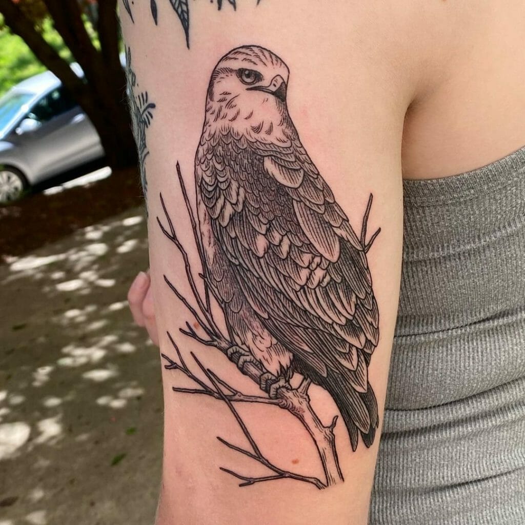 Beautiful Hawk Tattoos Designs On Shoulder