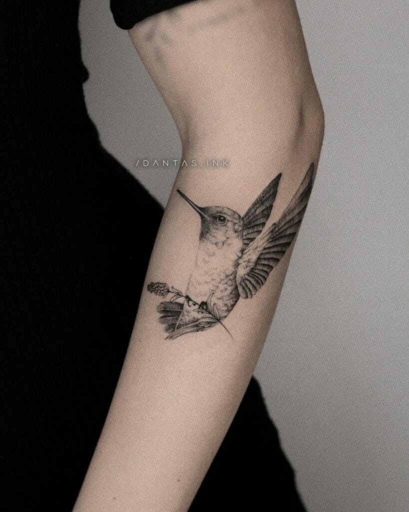 Black And White Hummingbird Tattoo