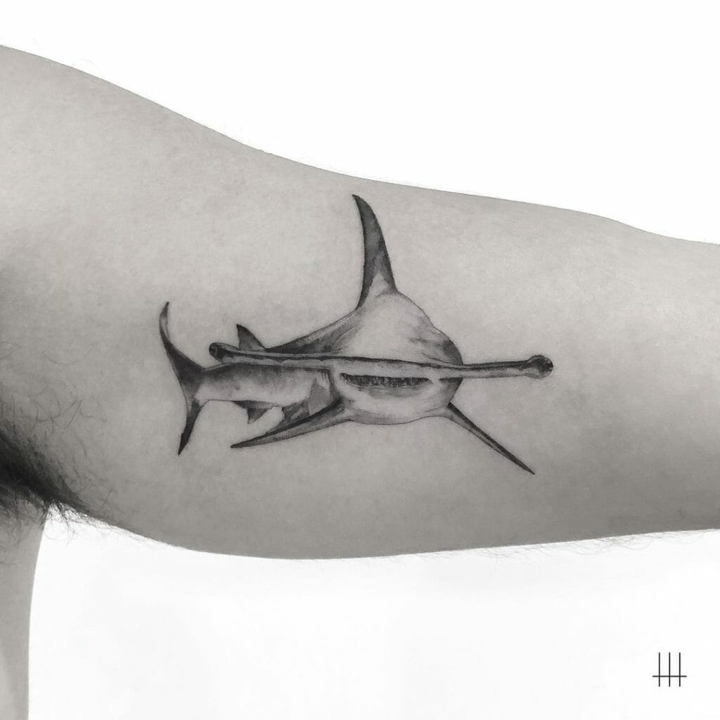 Hammerhead Shark Tattoo