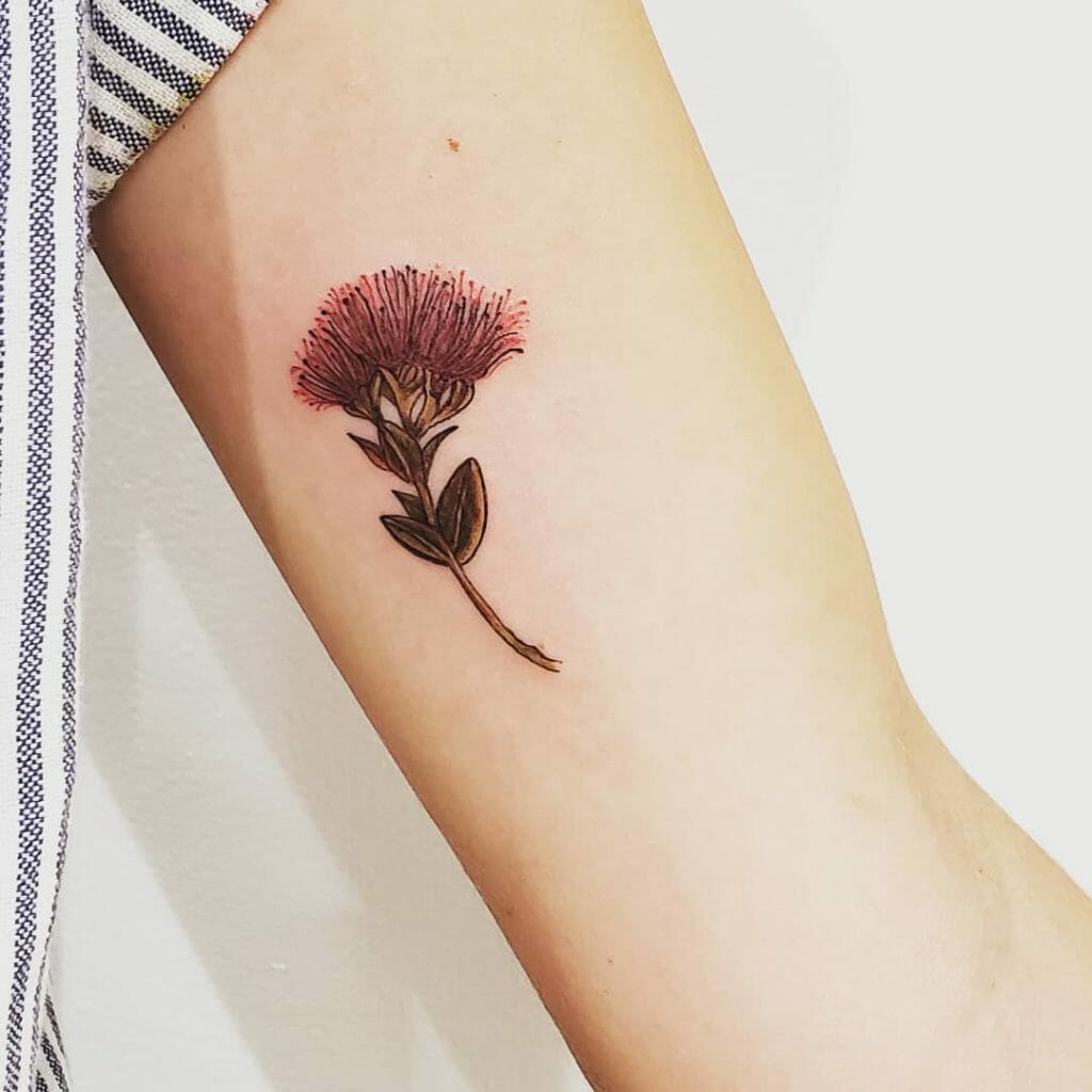 Ohi'a Lehua Flower Tattoo Designs