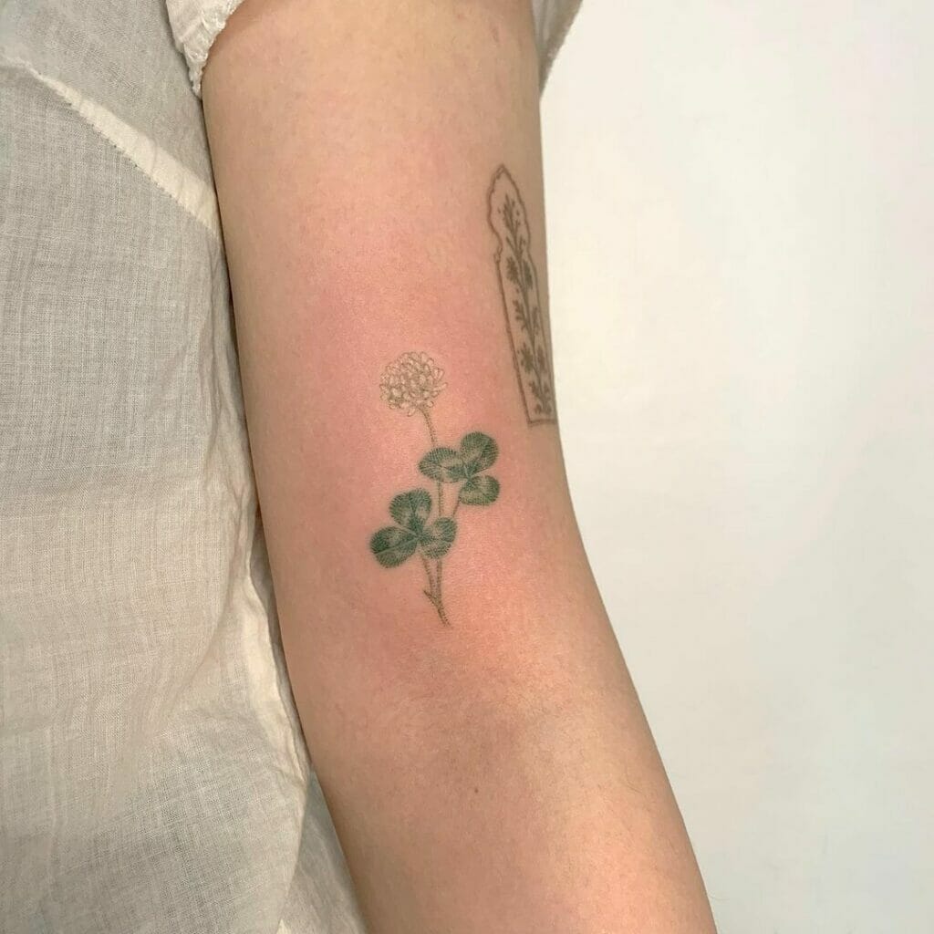 Traditional Irish Shamrock Tattoo Design
