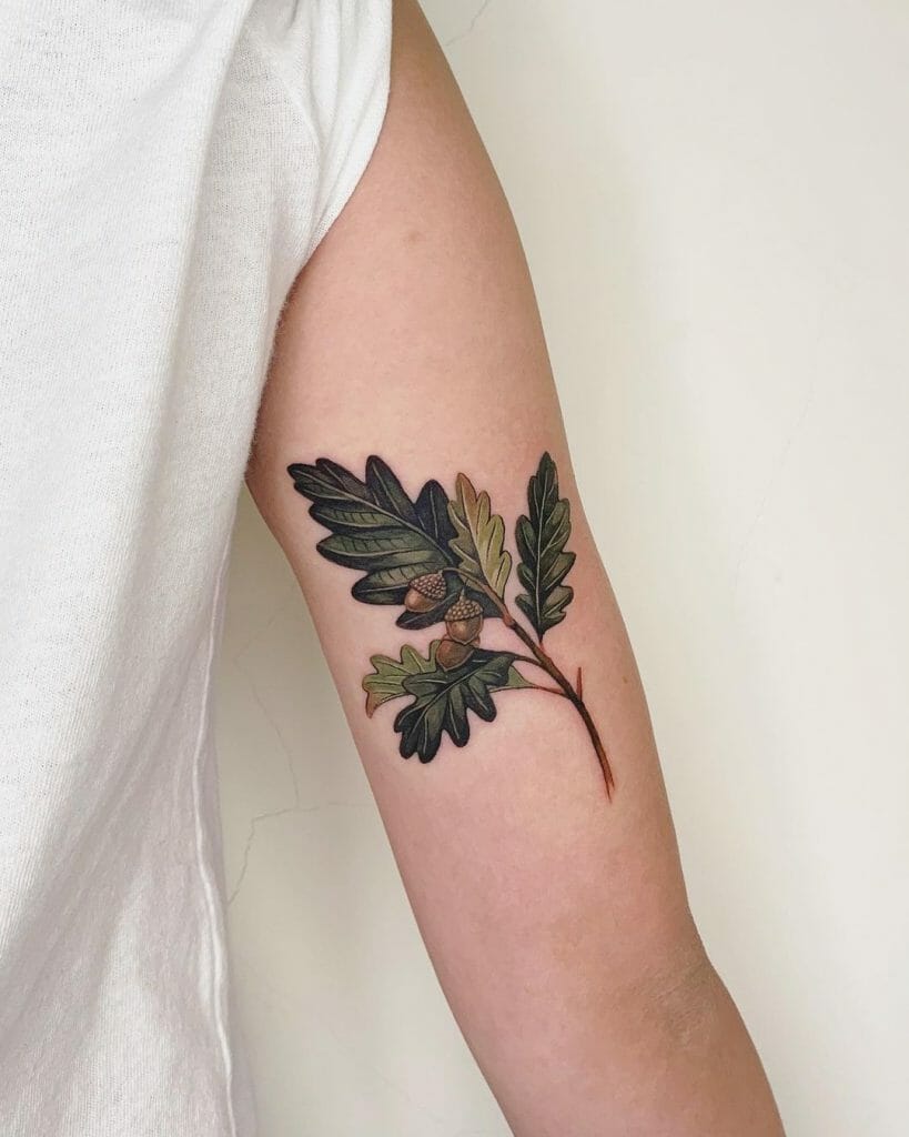 Acorn And Oak Leaf Tattoo Design