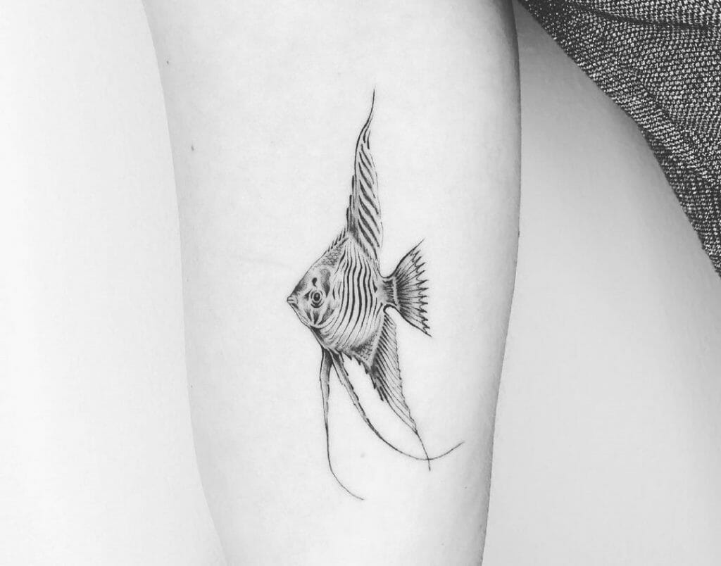 Angel Fish Tattoos