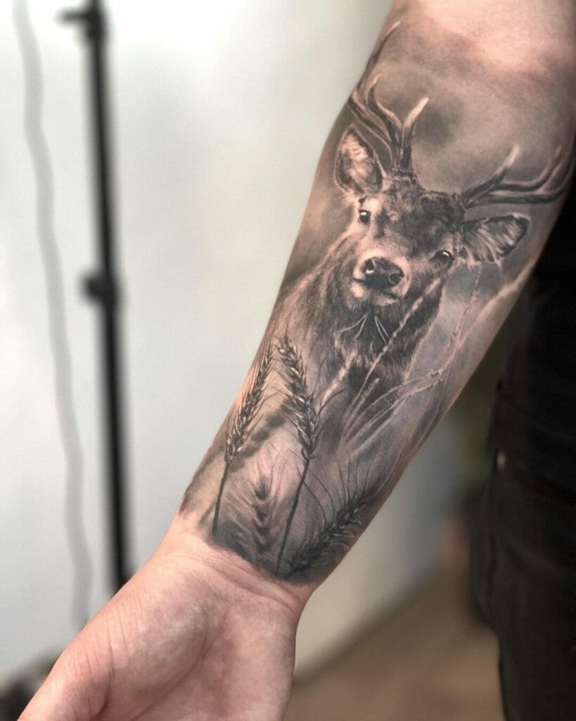 Awesome Realism Deer Tattoo Black and White