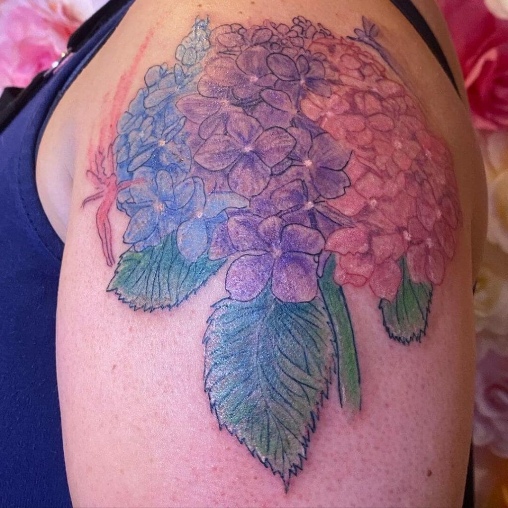 Beautiful Bi Pride Hydrangea Tattoo