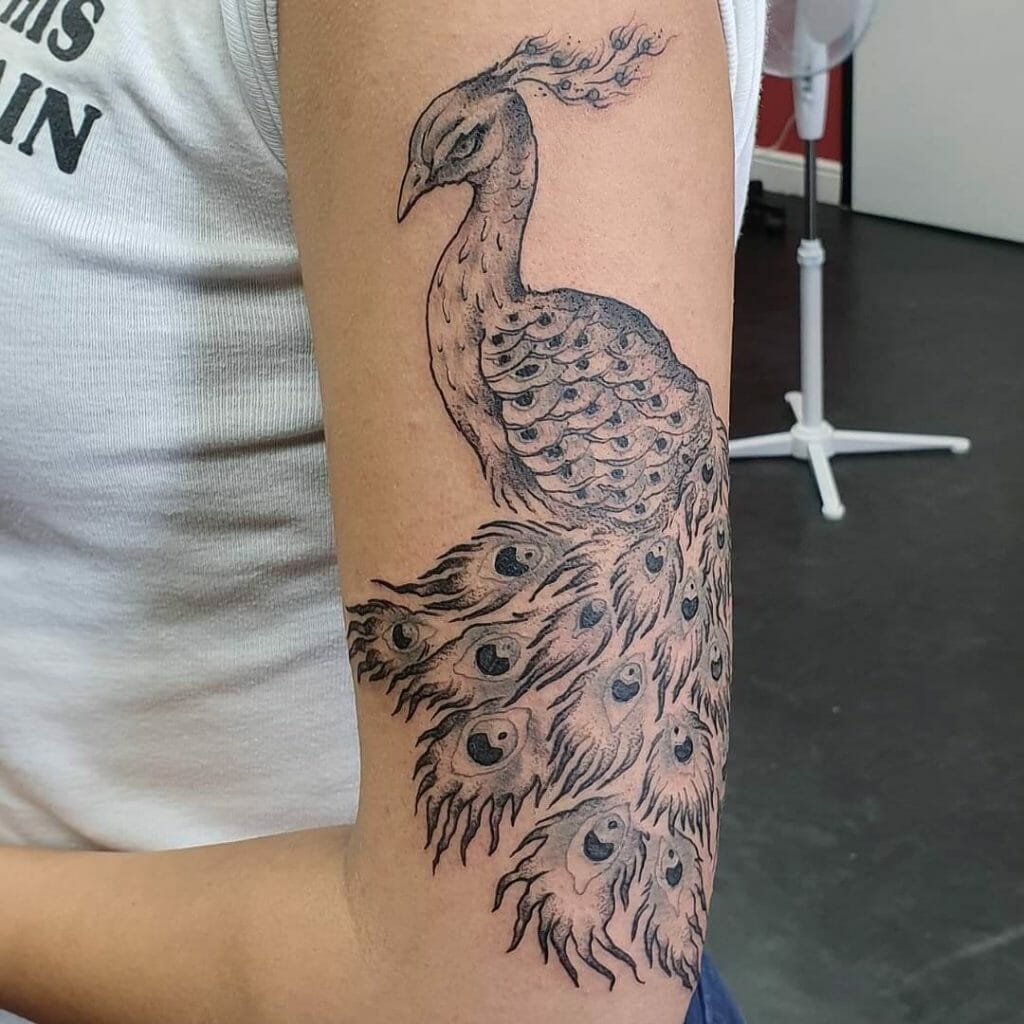 Black Peacock Feather Tattoo