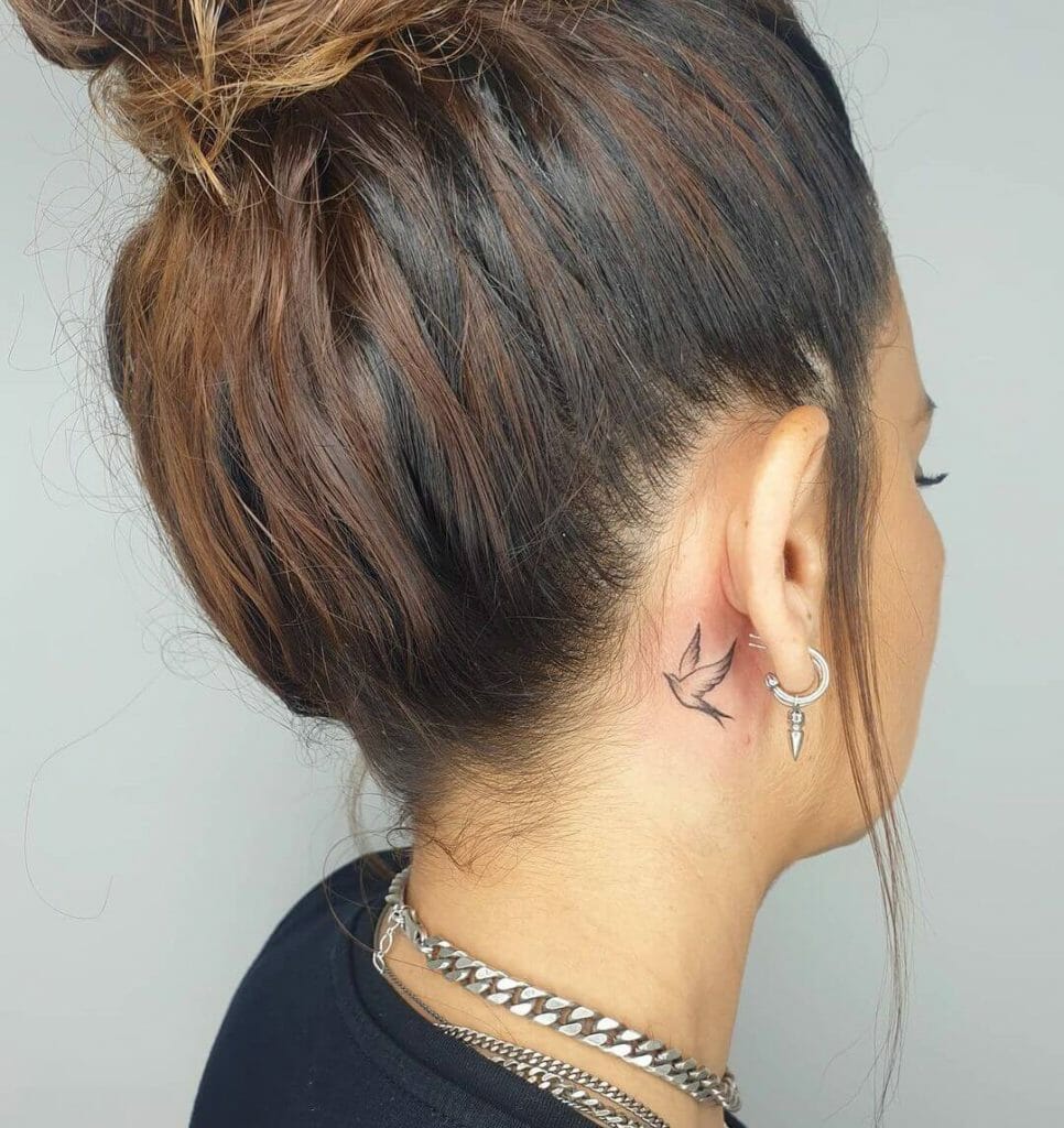 Black Small Bird Tattoo Behind Ear