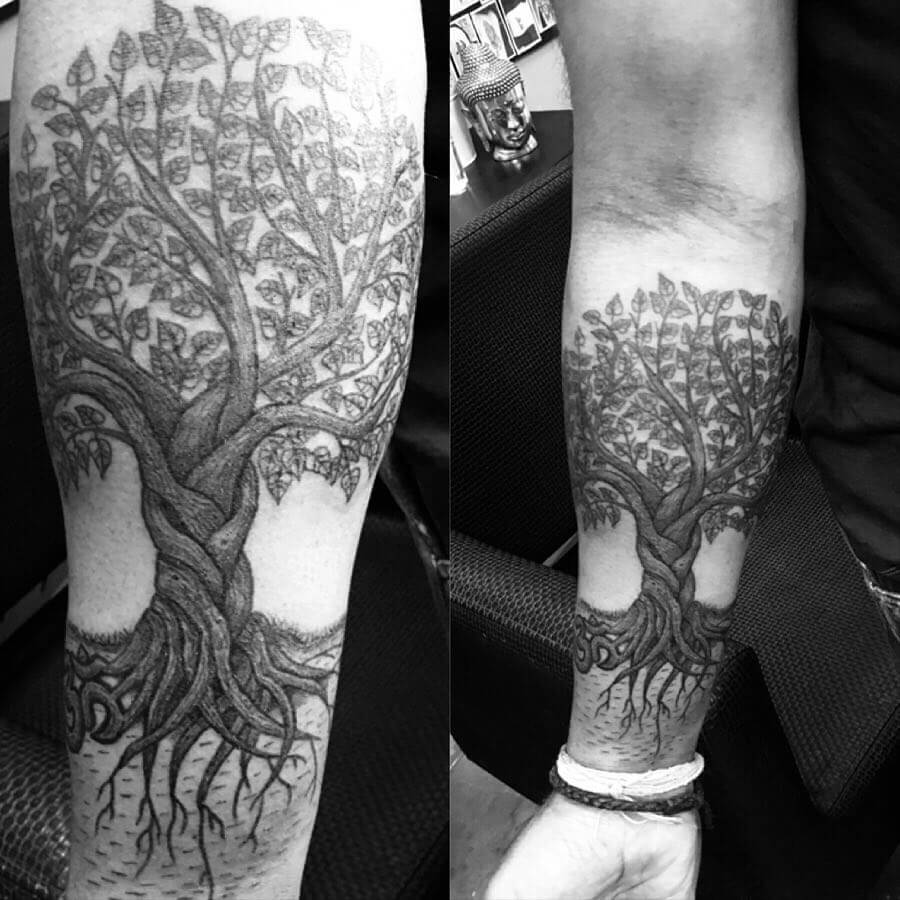 Bodhi Tree With Roots Tattoo