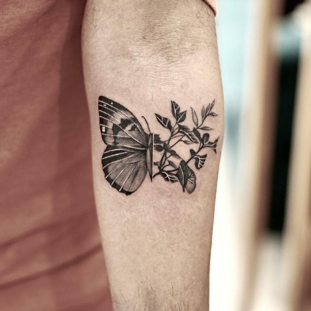 Discover more than 80 masculine manly butterfly tattoo best - thtantai2