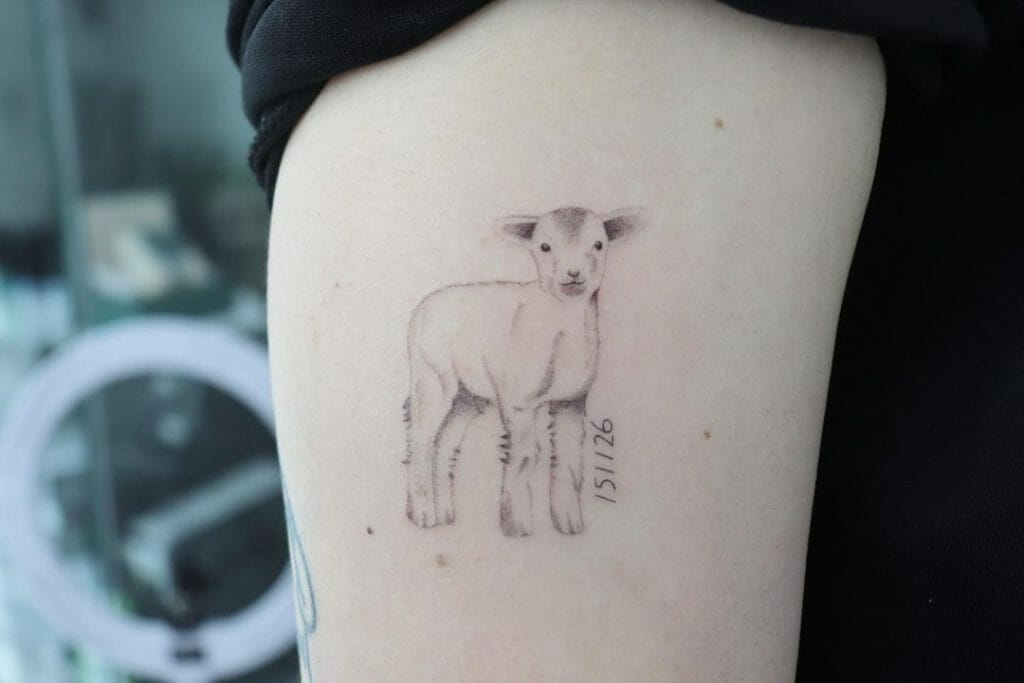 Innocent Sheep Tattoo