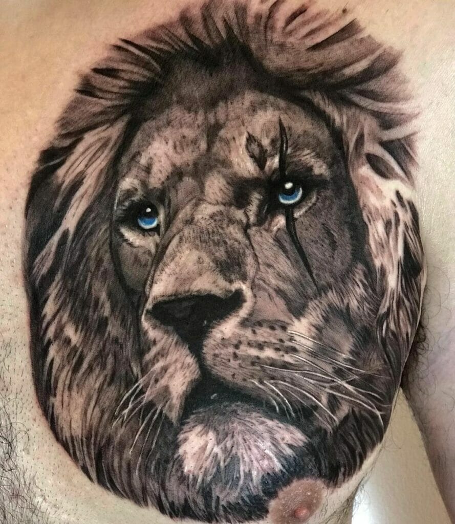 Lion With One Eye Scarred
