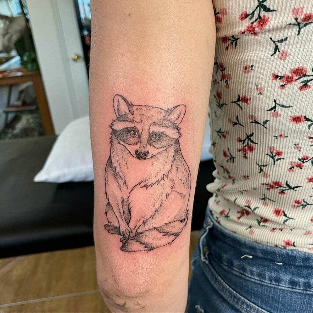 Lovely Ideas For Raccoon Outline Tattoo