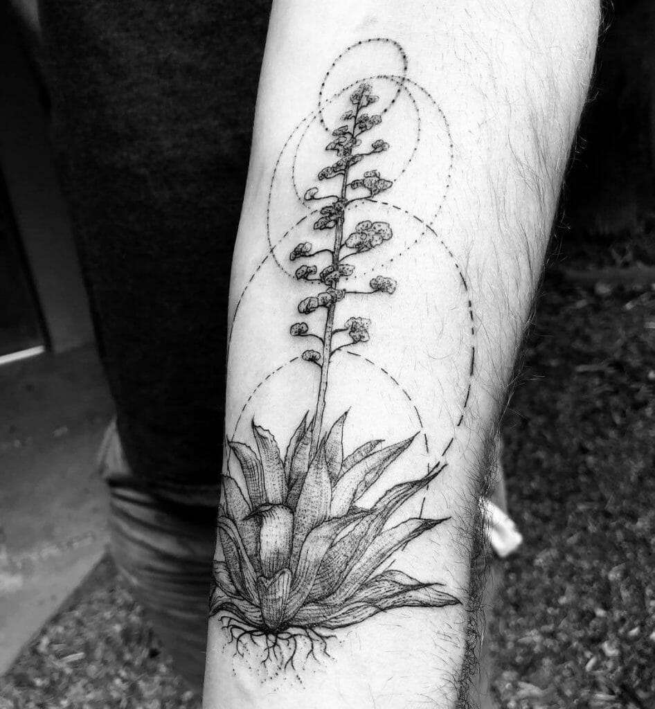 Maguey Agave Tattoo