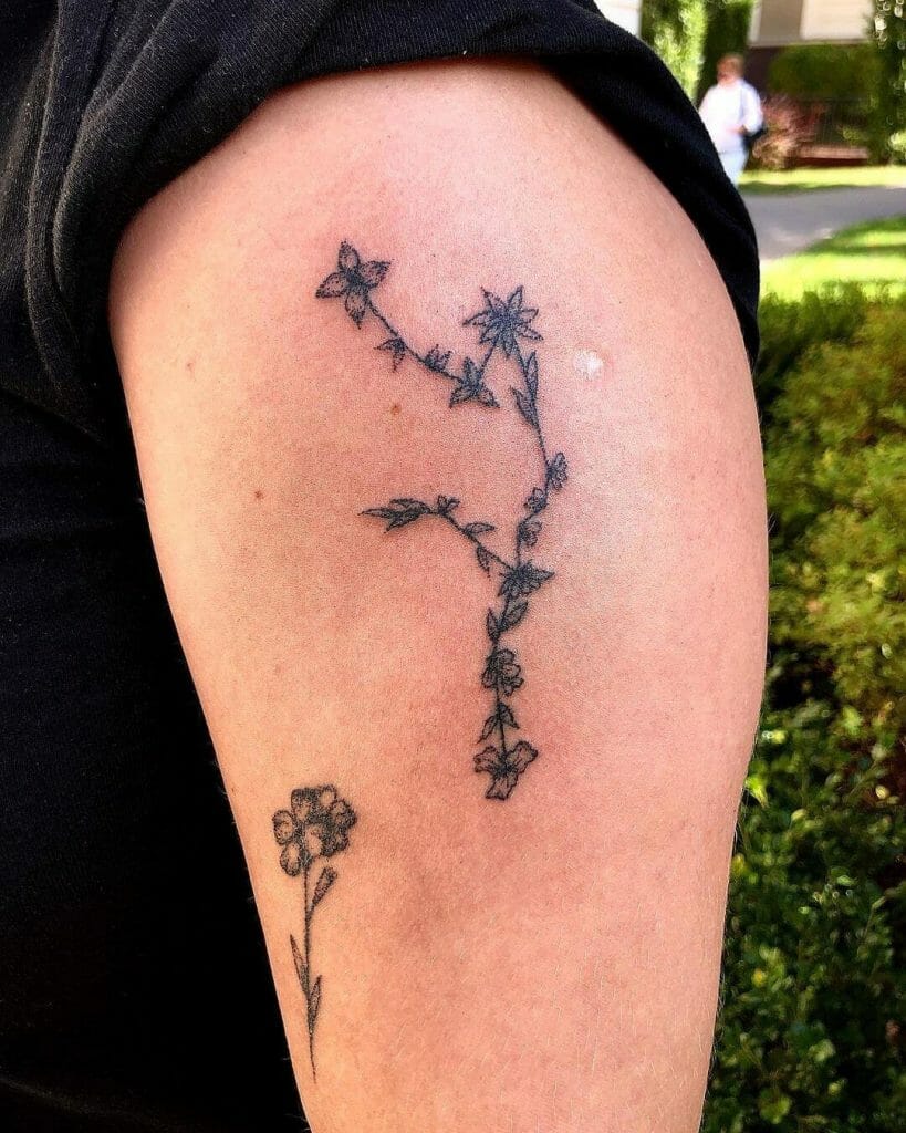 Minimal Aquarius Flower Tattoo Ideas For Novices