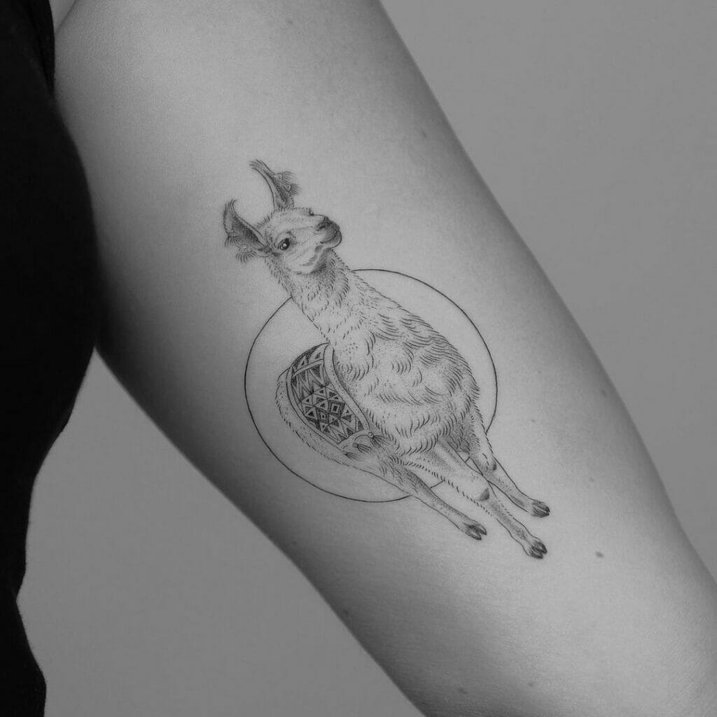 Moon And Llama Tattoos