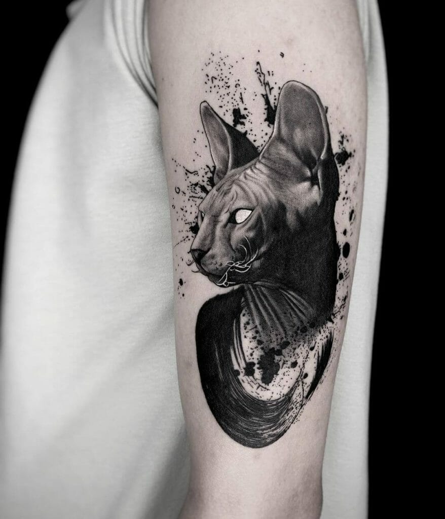 Neo-Traditional Sphynx Cat Tattoo