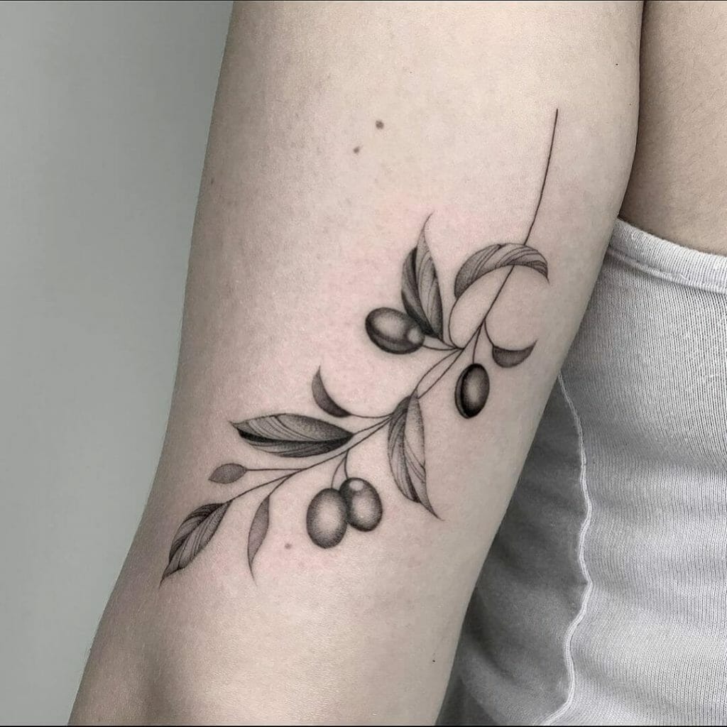 Olive Vine Tattoo