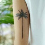 Palm Tree Tattoos Outsons